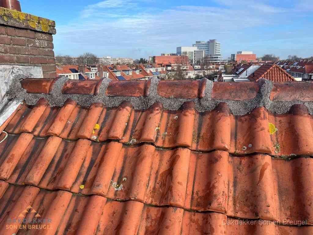 Sonenbreugel Daken Renoveren Sonenbreugel Daken Renoveren